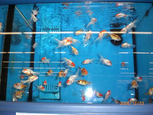 Resize of CIMG0263.JPG